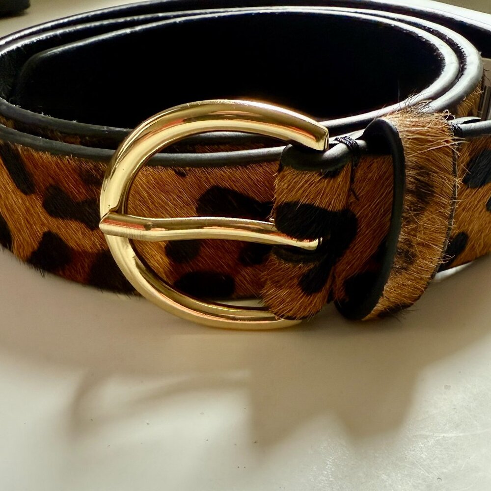 Zara Cheetah Belt with Gold Buckle Size L